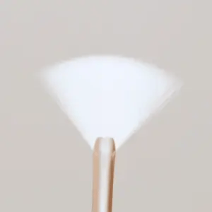 Fan Brush