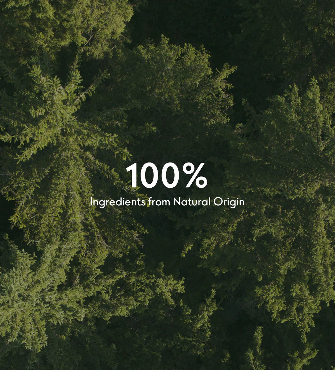 Pomegranate Body Oil 100 ml