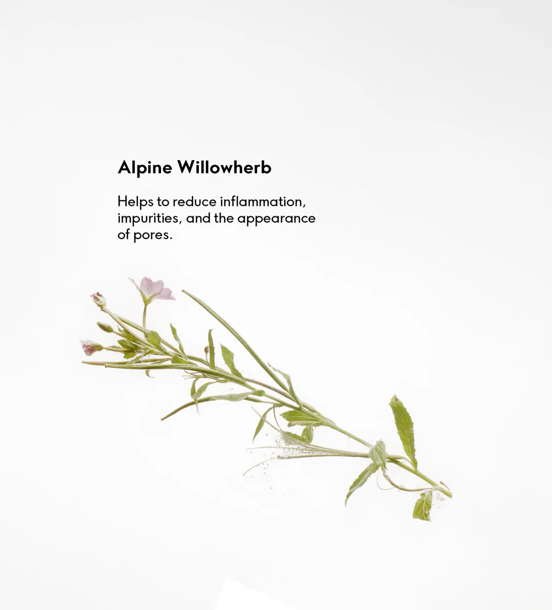 Purifying Cleansing Gel 100 ml